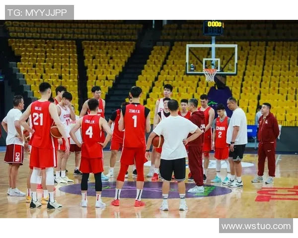 齐麟的崛起与挑战：探讨年轻球员在职业篮球中的发展之路