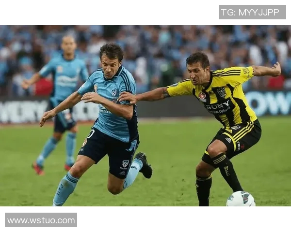 惠灵顿与布里斯班历史交锋战绩分析及近期表现对比